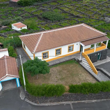 Casa Da Vinha Vila Biscoitos  Exterior foto
