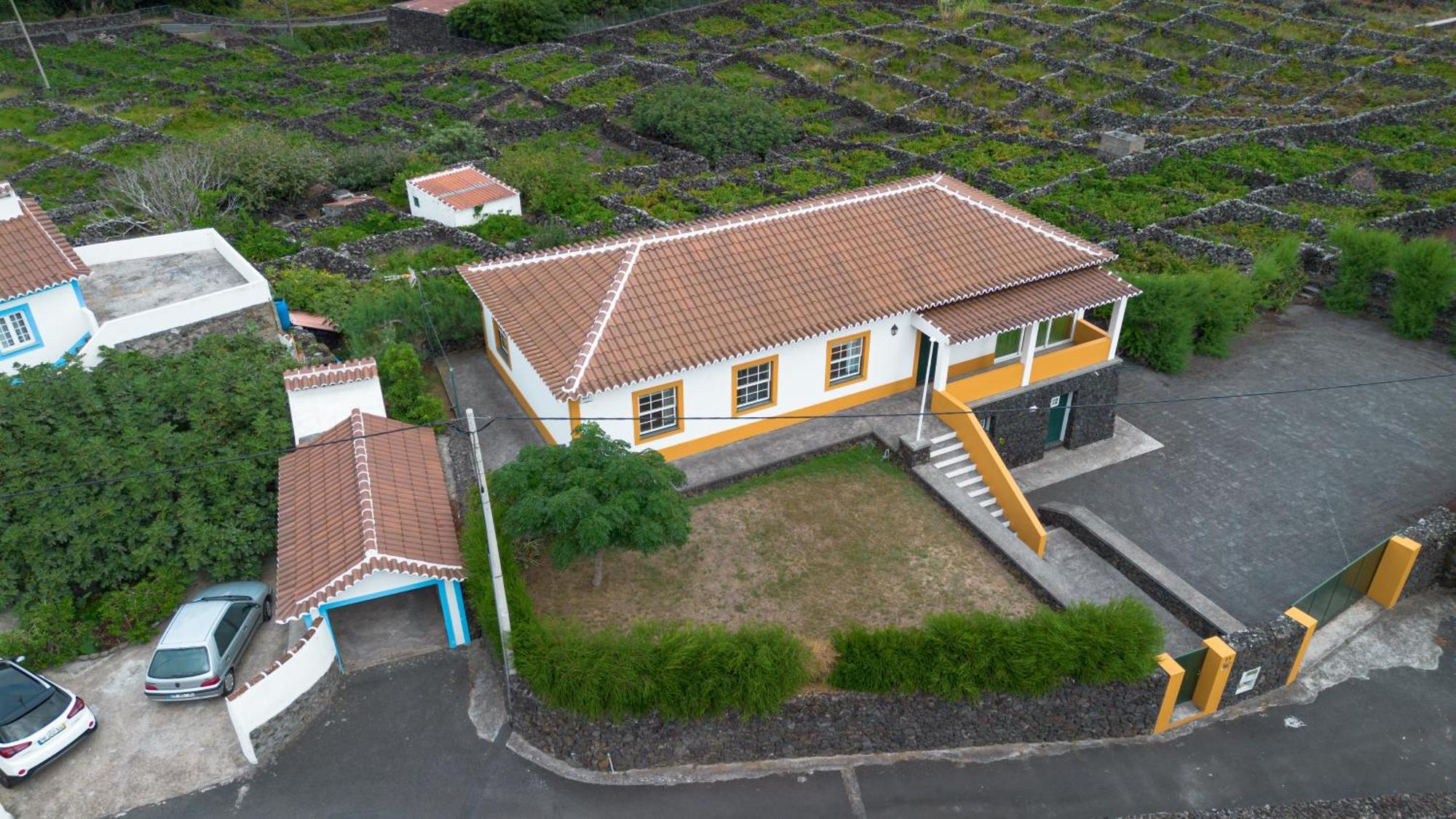 Casa Da Vinha *
